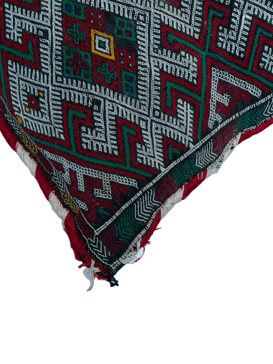 Ain Leuh Vintage Pillow - Forest and Garnet