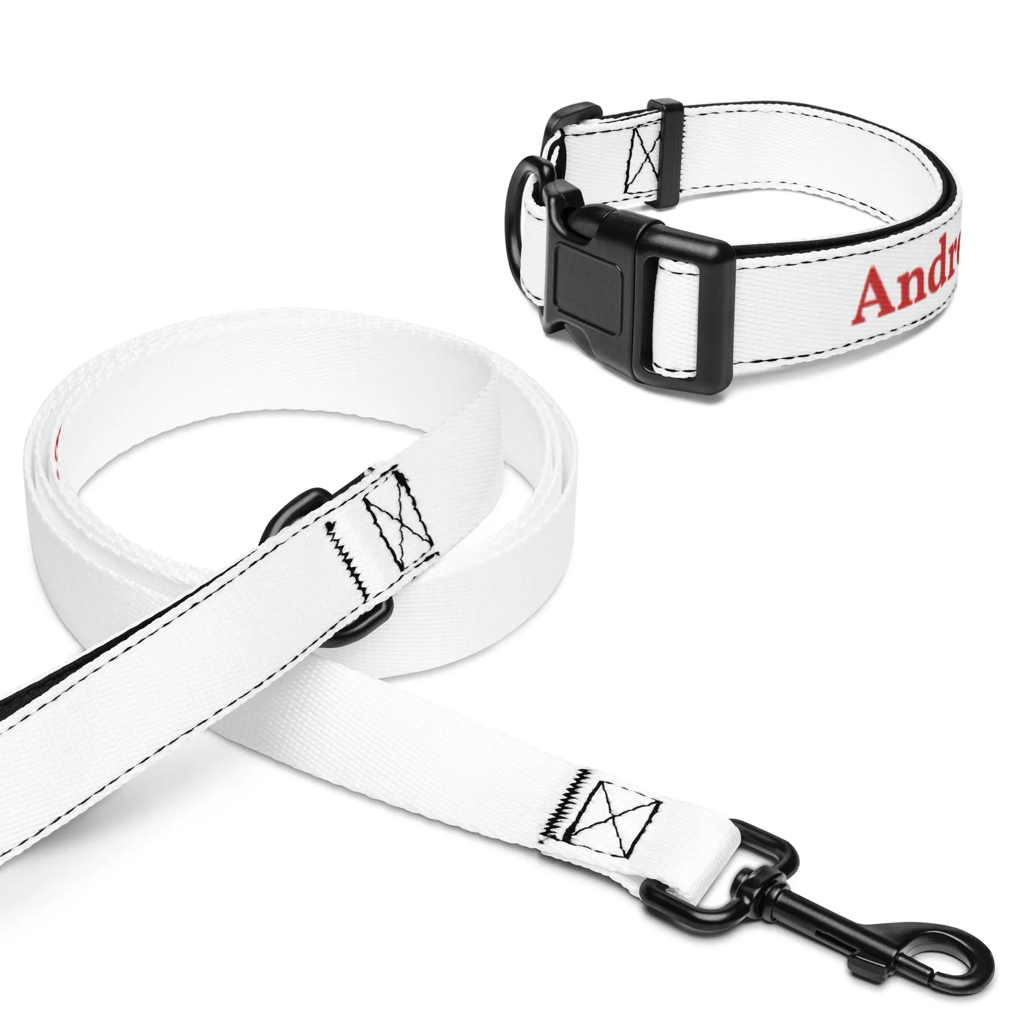 Andre Republic Pet collar & leash