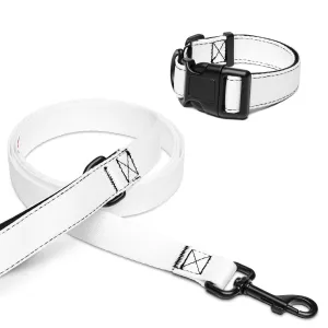 Andre Republic Pet collar & leash