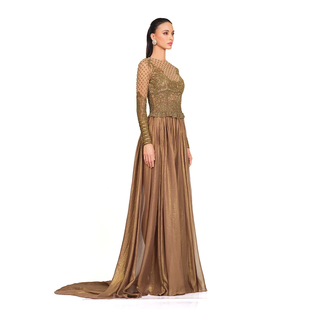 Antique Gold Embroidered Gown