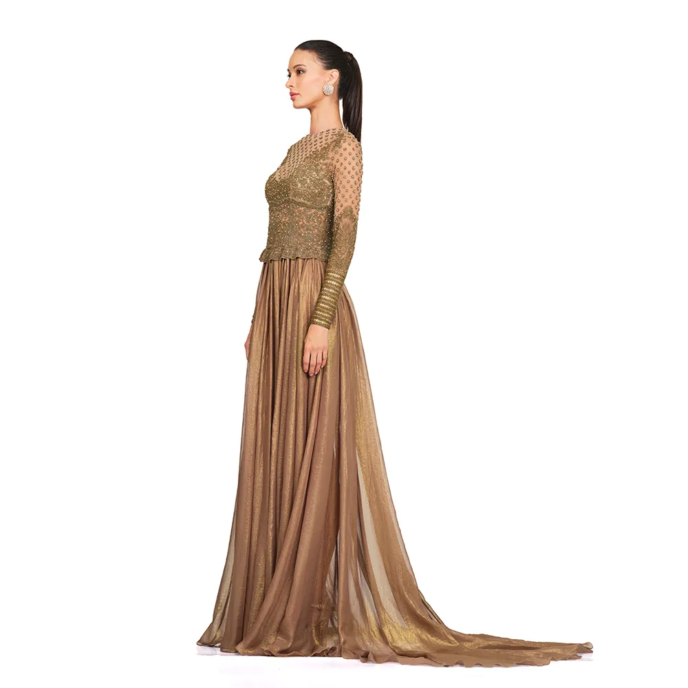 Antique Gold Embroidered Gown