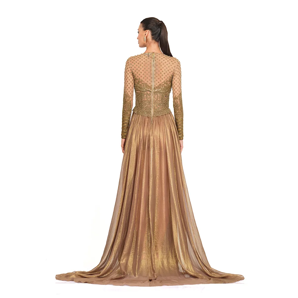Antique Gold Embroidered Gown