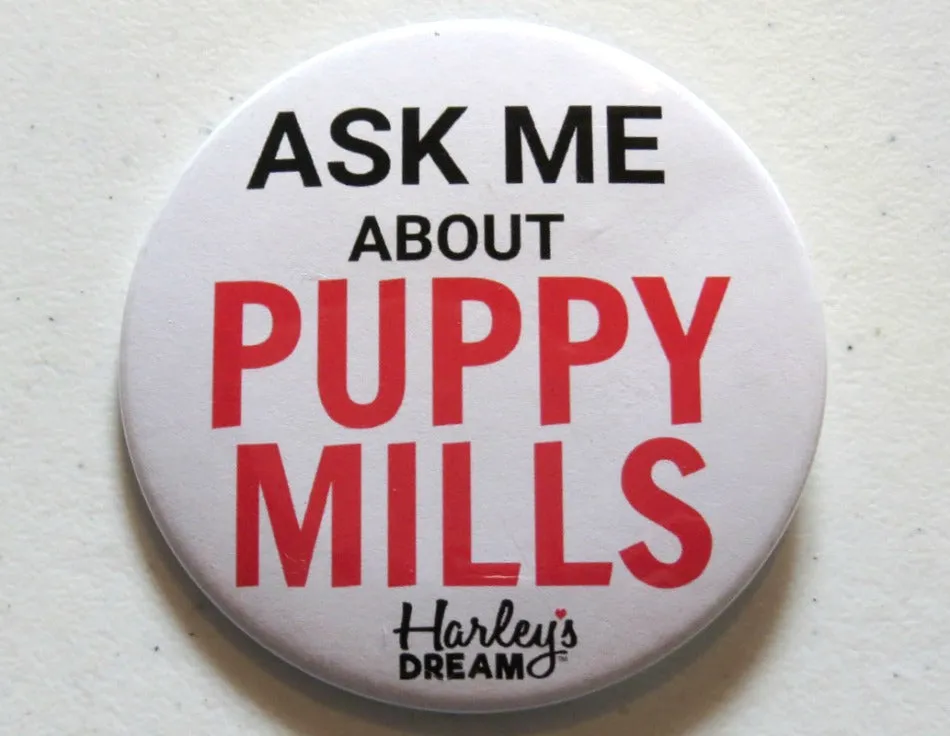 ASK ME about Puppy Mills Magnet-Back Button