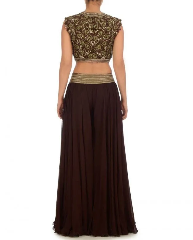 Chocolate Brown color sharara
