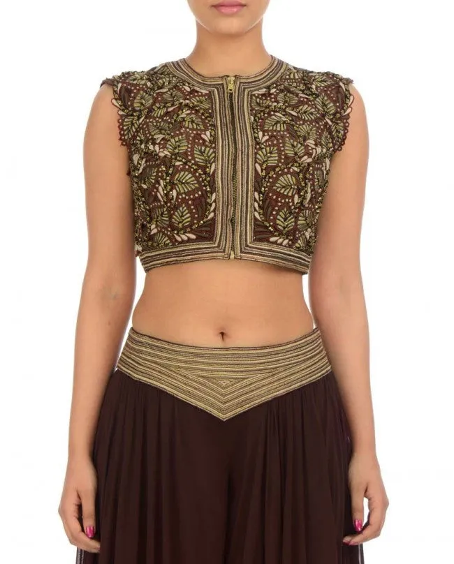 Chocolate Brown color sharara