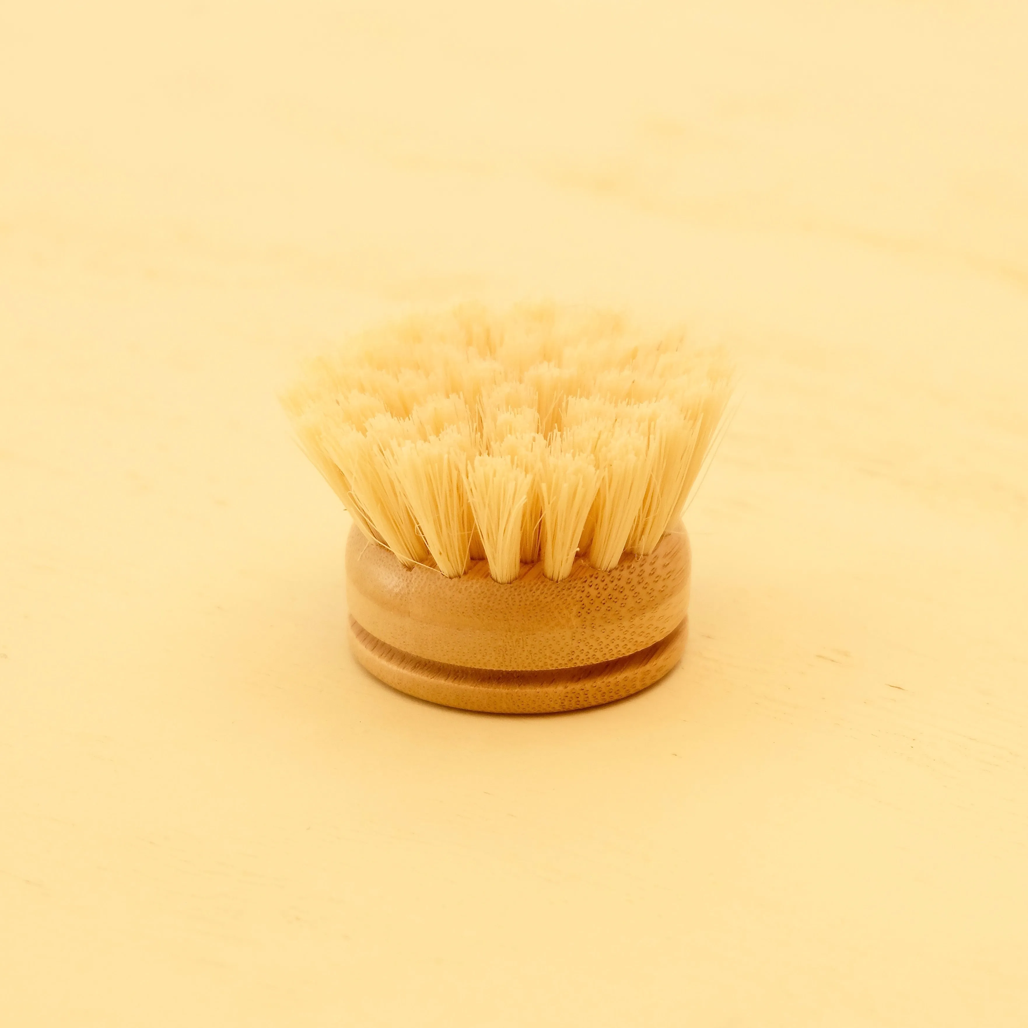 DISH BRUSH WITH HANDLE