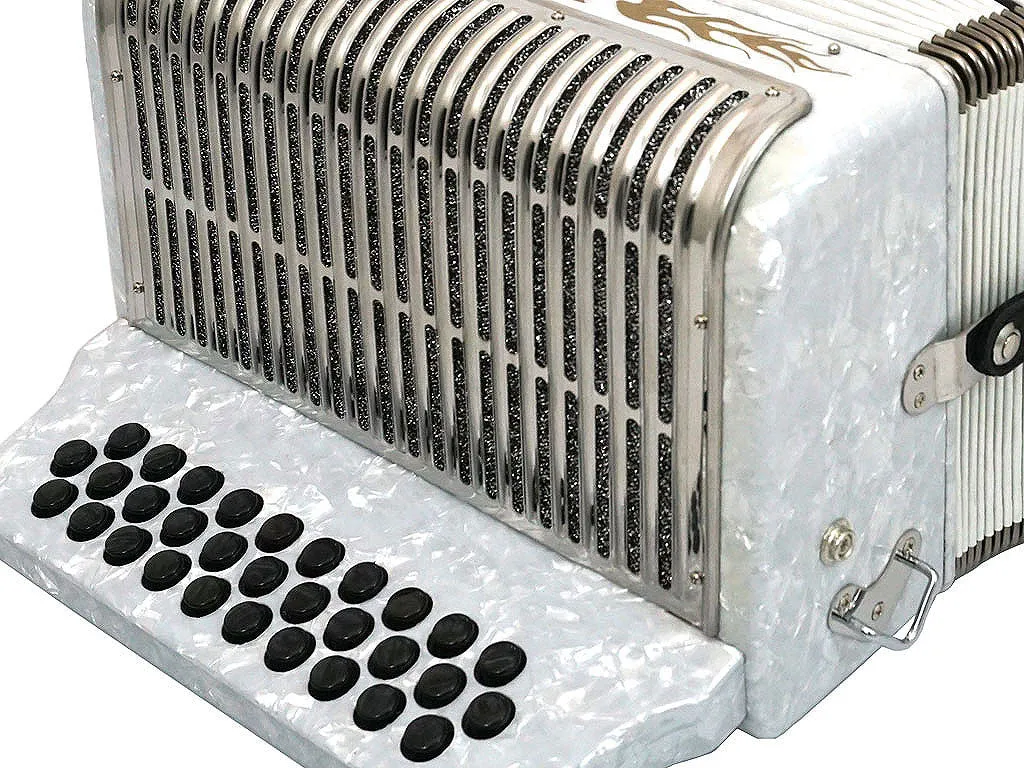 D'Luca Toro Button Accordion 31 Keys 12 Bass on GCF Key with Case and Straps, White