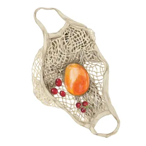 French Net Market Bag