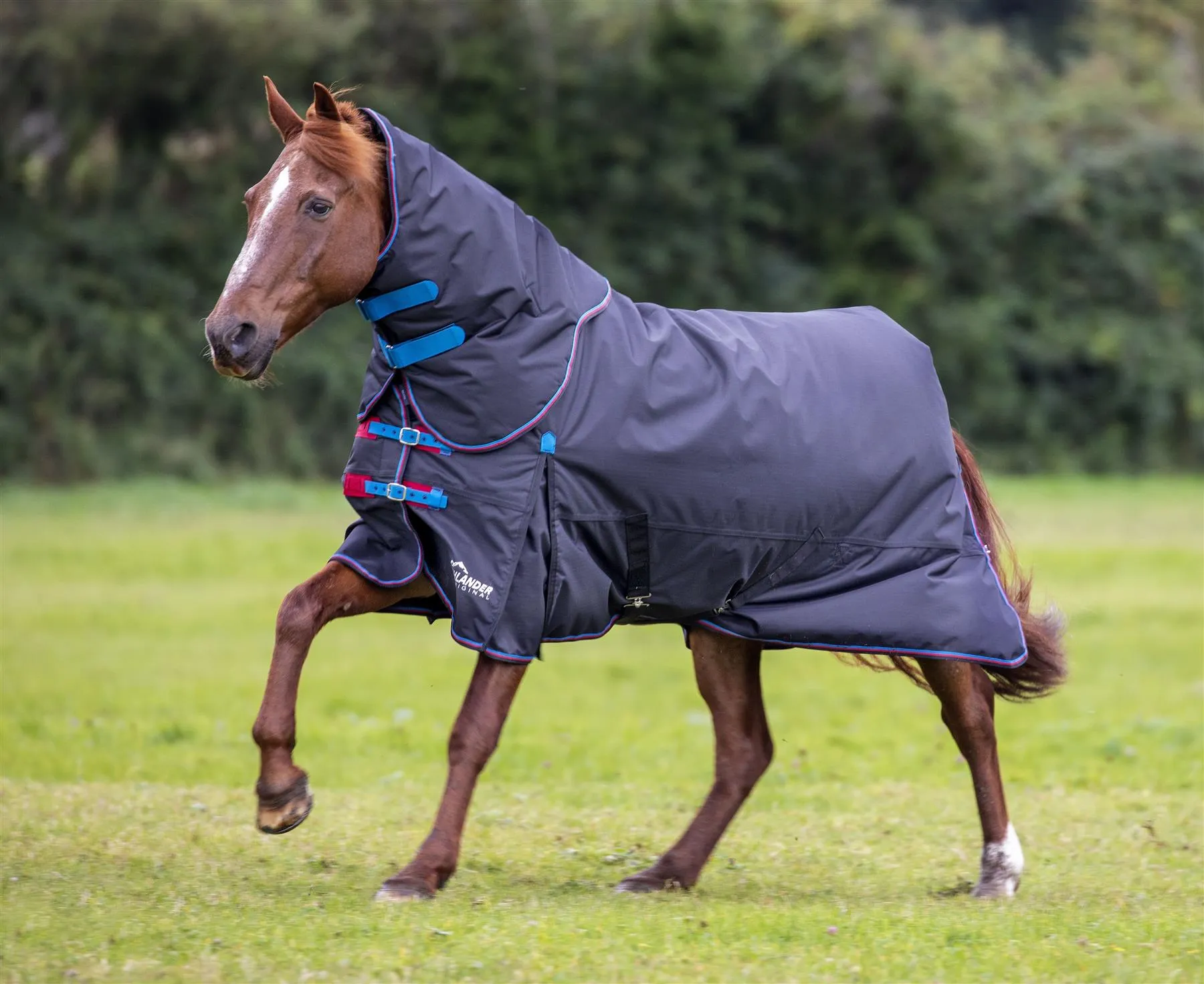 Highlander Original 200 T/O Rug & Neck