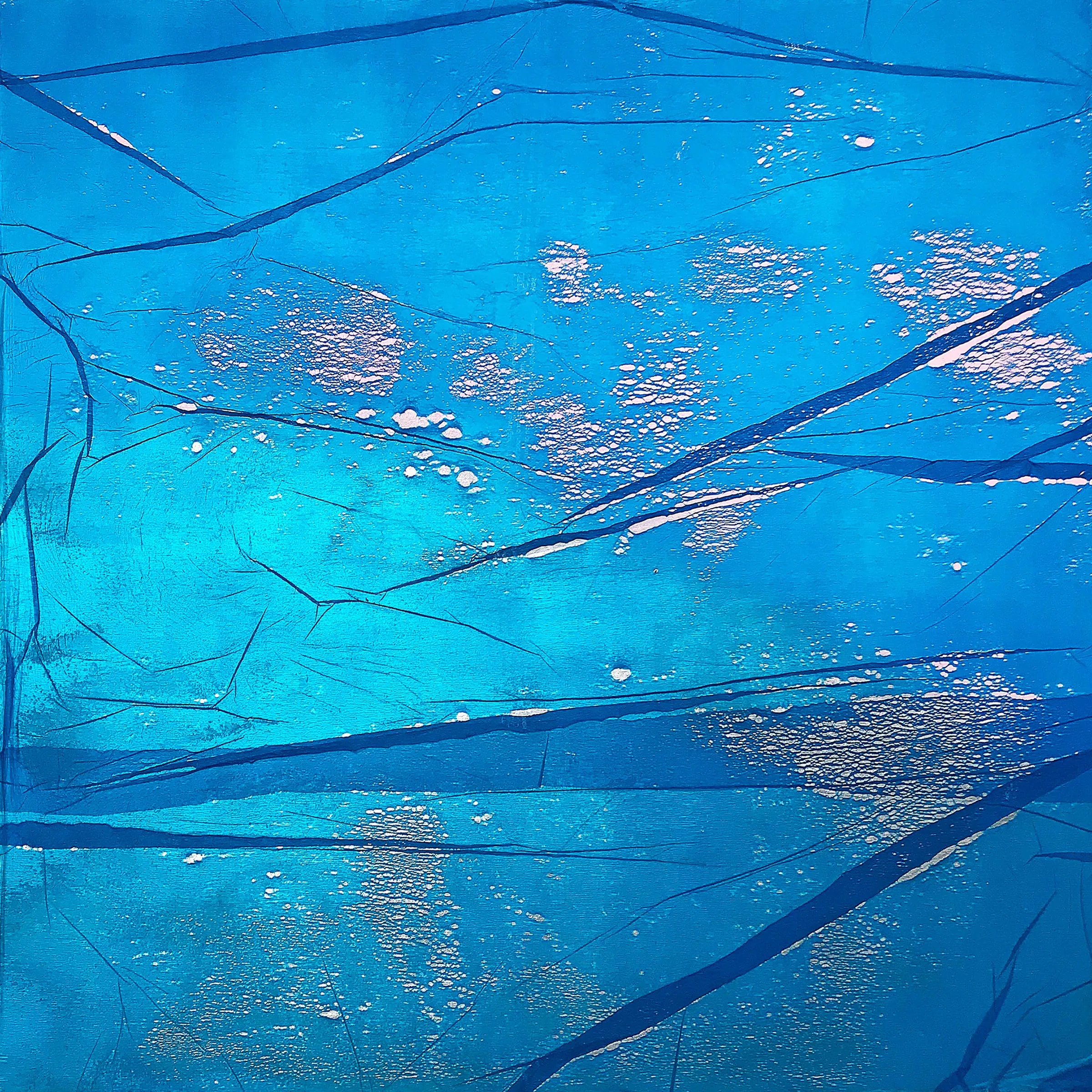 Ivan Stojakovic, "Blue vs Blue M1"