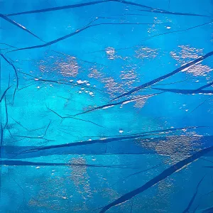 Ivan Stojakovic, "Blue vs Blue M1"