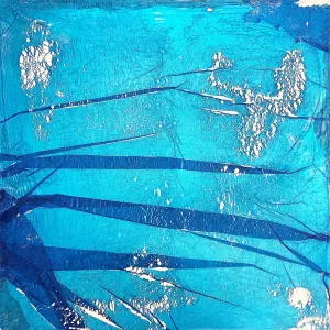 Ivan Stojakovic, "Blue vs Blue S11"
