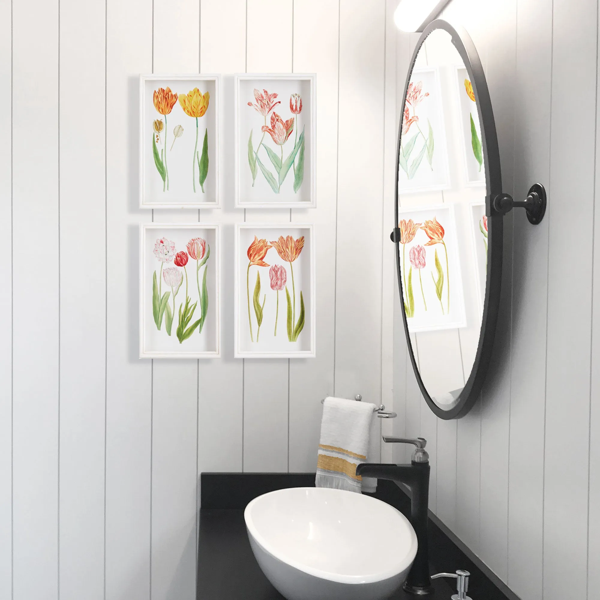 NAPA Home & Garden, TULIP PRINTS, SET OF 4,NNH526