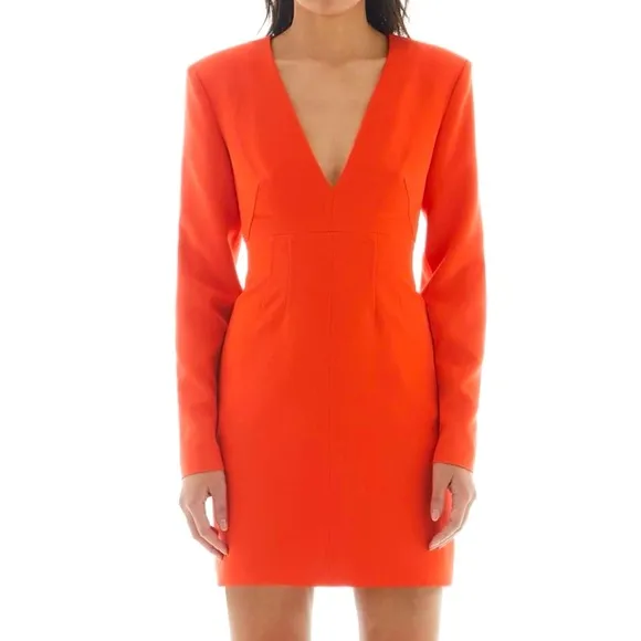 NWT Flame Crepe Mini Dress