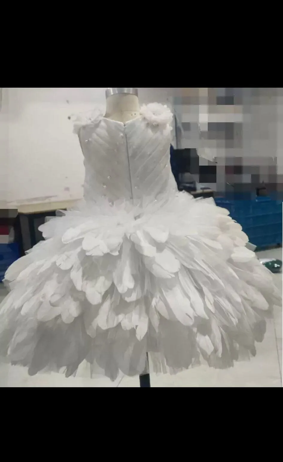 Once Upon a Princess - Priority Shipping