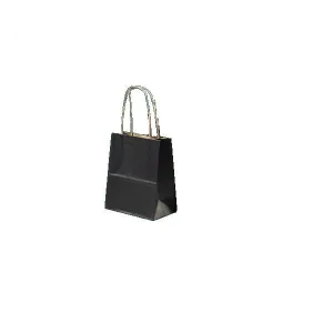 Paper Carry Bags with Heavy Paper Twist Handle (Pack of 25)