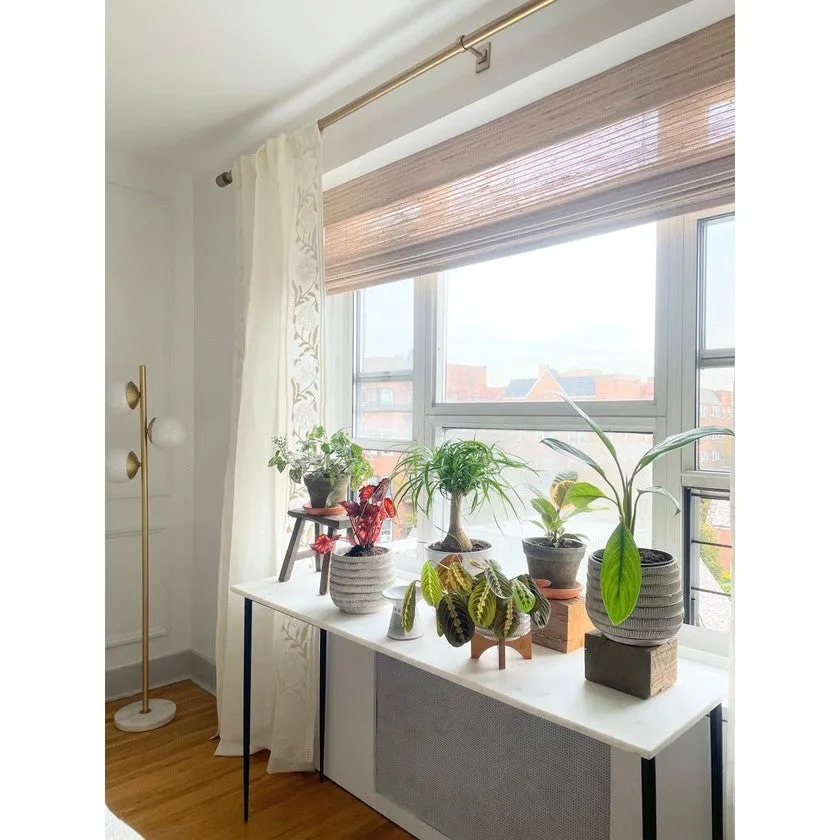 Queens NY Apartment