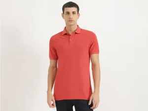 Regular Fit Polo Neck Solid Tshirt