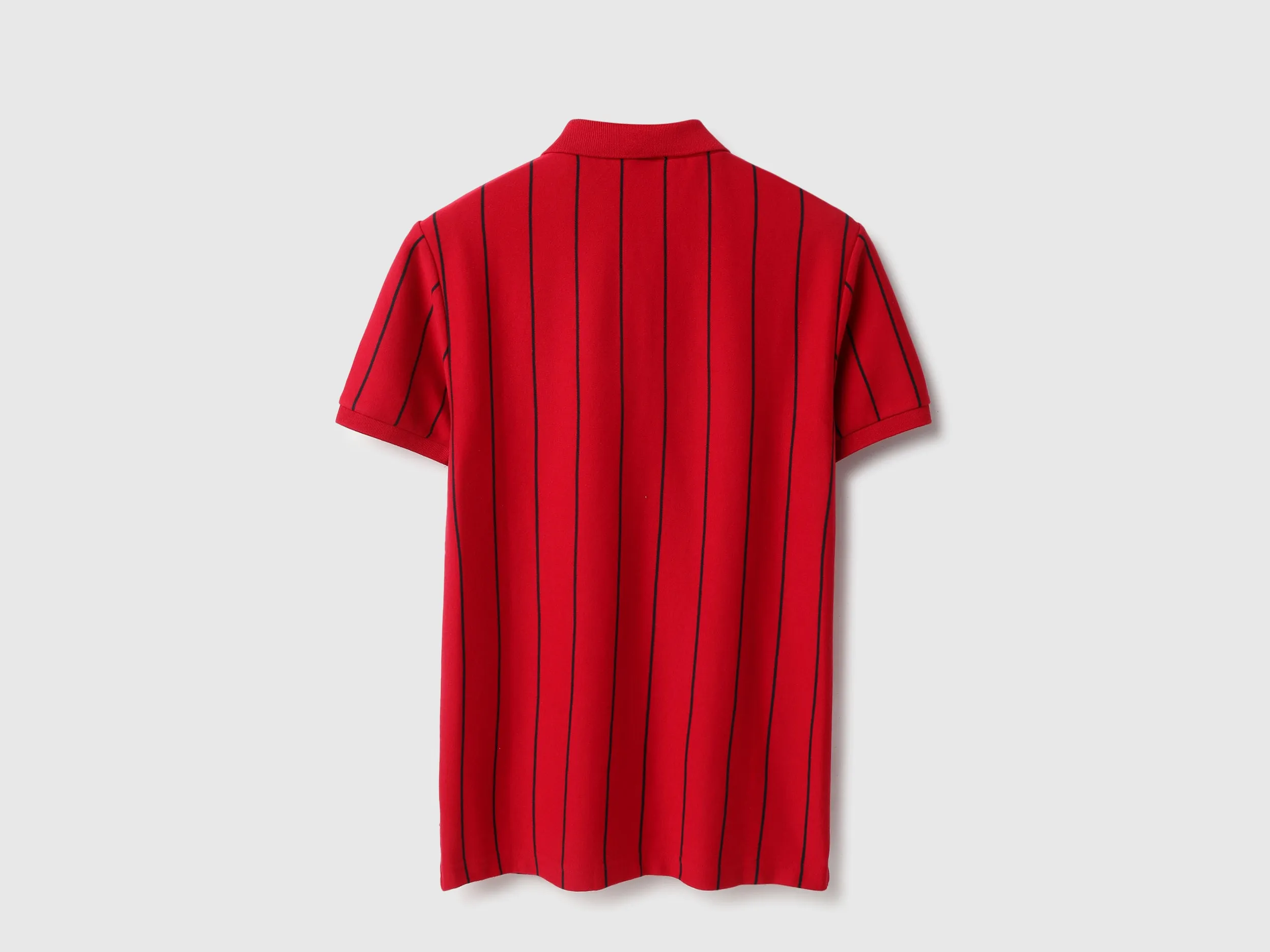 Regular Fit Polo Neck Striped Tshirt