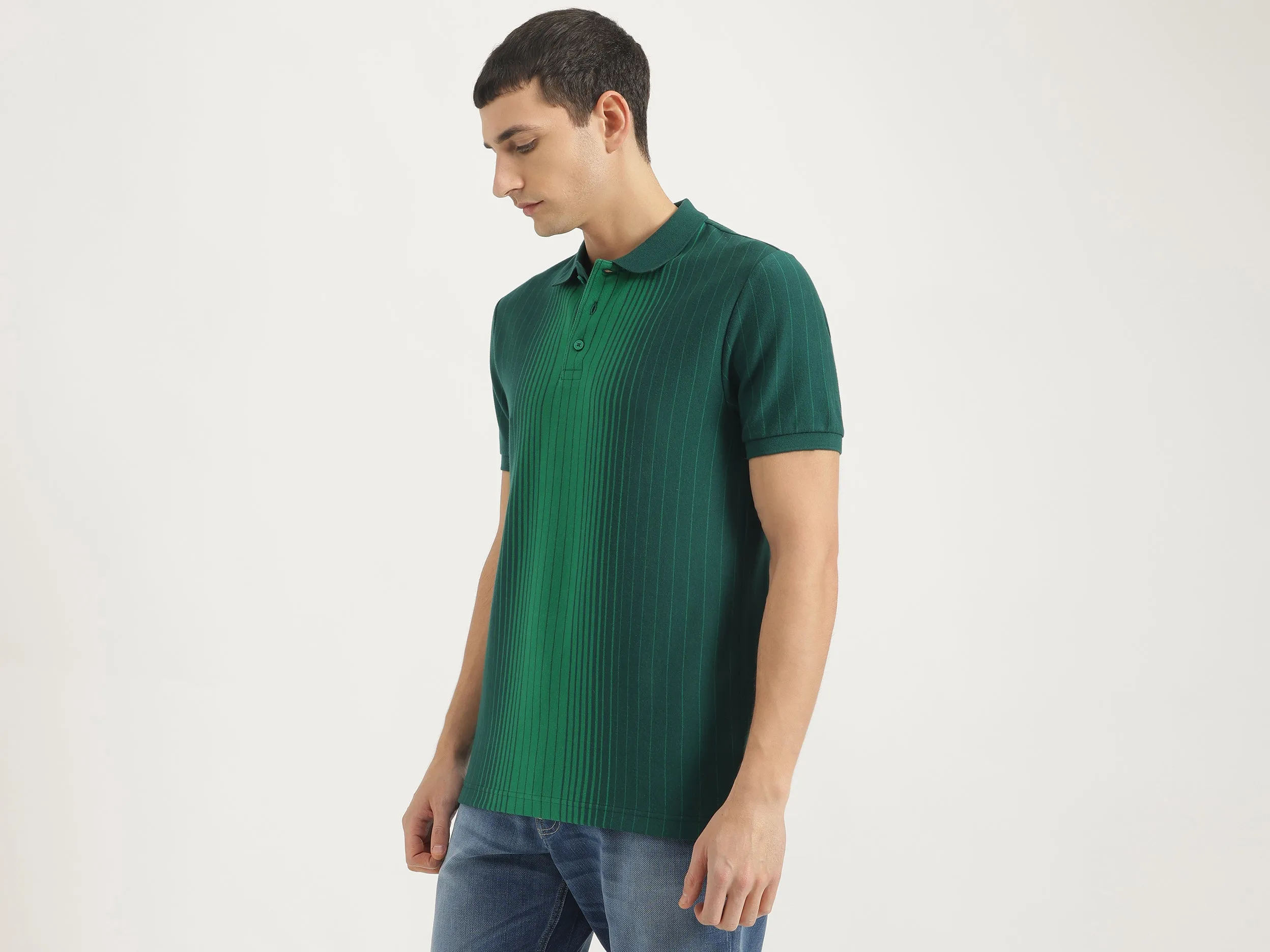 Regular Fit Polo Neck Striped Tshirt