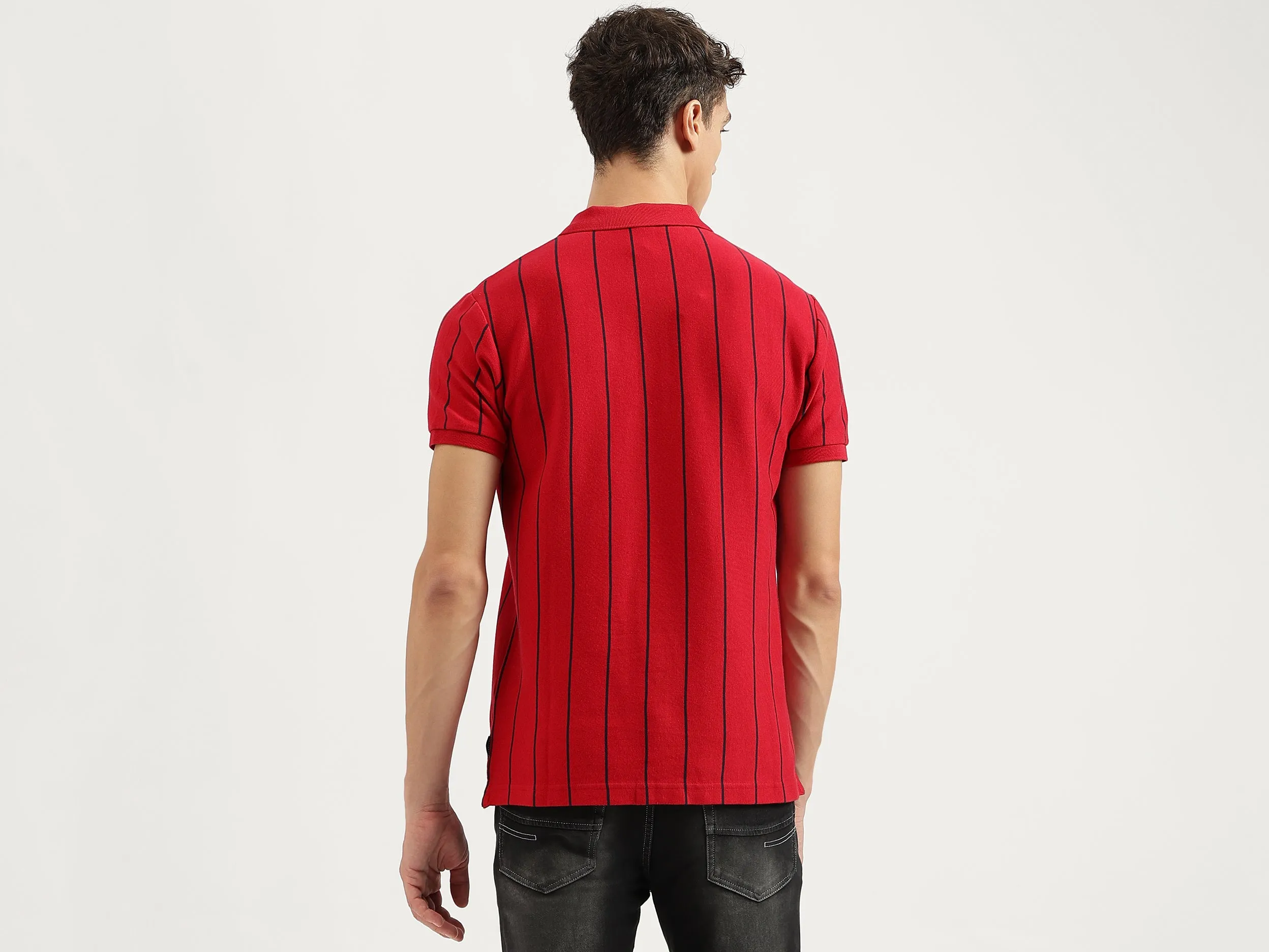 Regular Fit Polo Neck Striped Tshirt