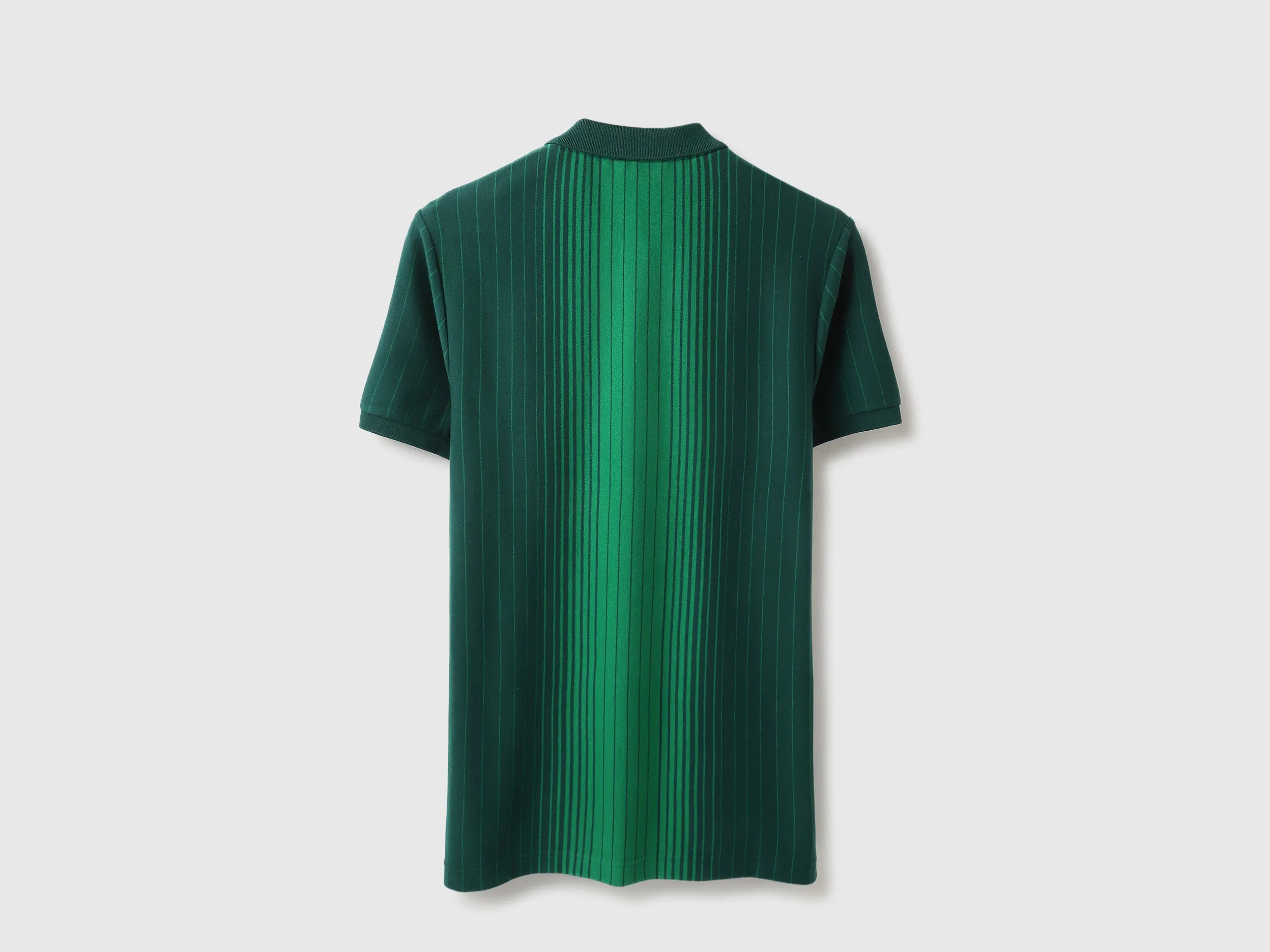 Regular Fit Polo Neck Striped Tshirt
