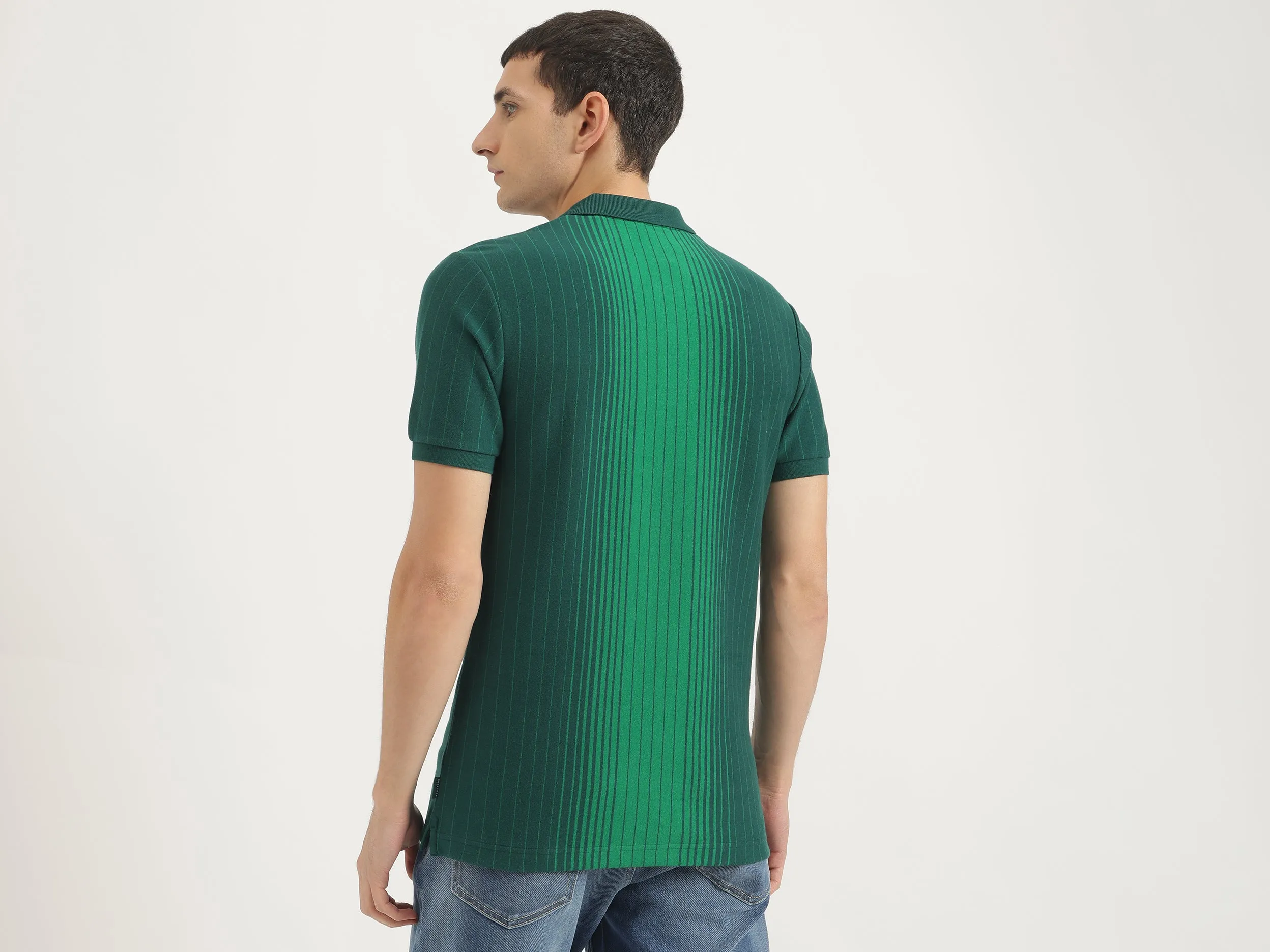 Regular Fit Polo Neck Striped Tshirt