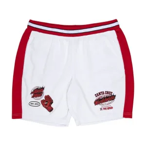 Santa Cruz Mesh Shorts TTE Worldwide Mesh Short - White