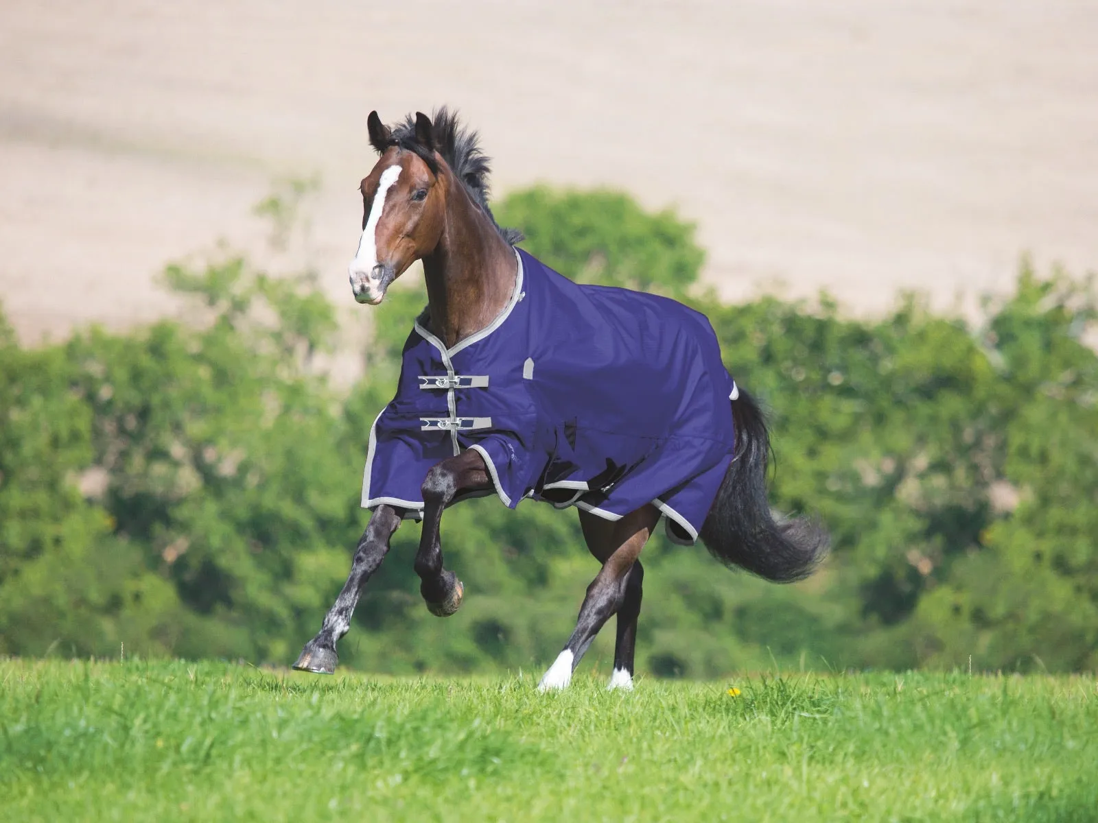 Shires Highlander Plus Lite Standard Neck Turnout (0g Lite)