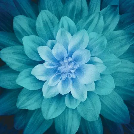 Teal Large Flower Digital Panel by Hoffman 43" x 43"