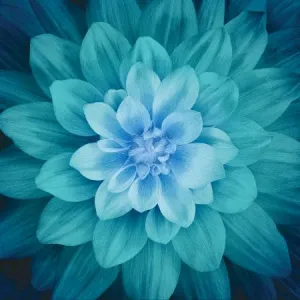 Teal Large Flower Digital Panel by Hoffman 43" x 43"