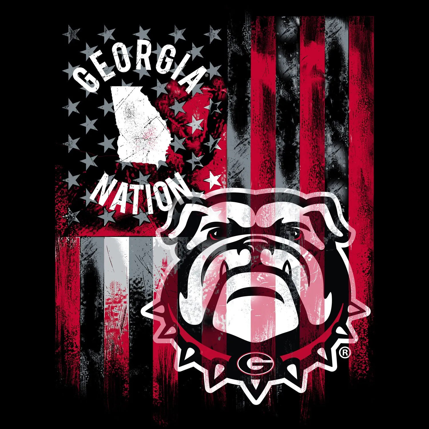 UNIVERSITY OF GEORGIA-College Flag Minky Panel-100% Polyester-GA1335