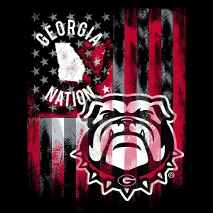 UNIVERSITY OF GEORGIA-College Flag Minky Panel-100% Polyester-GA1335