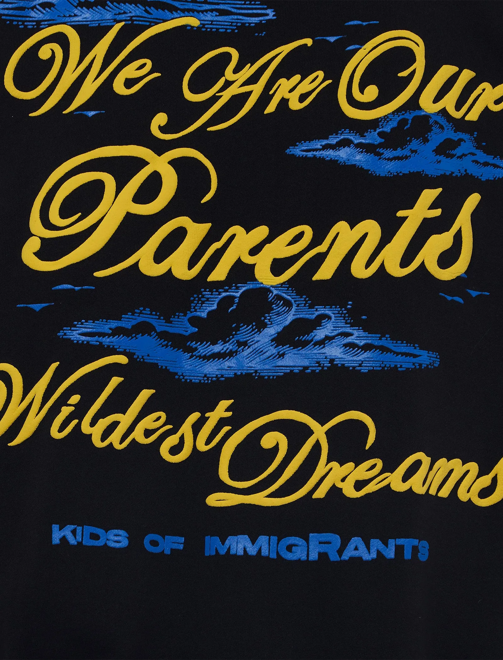 WILDEST DREAMS HOODIE