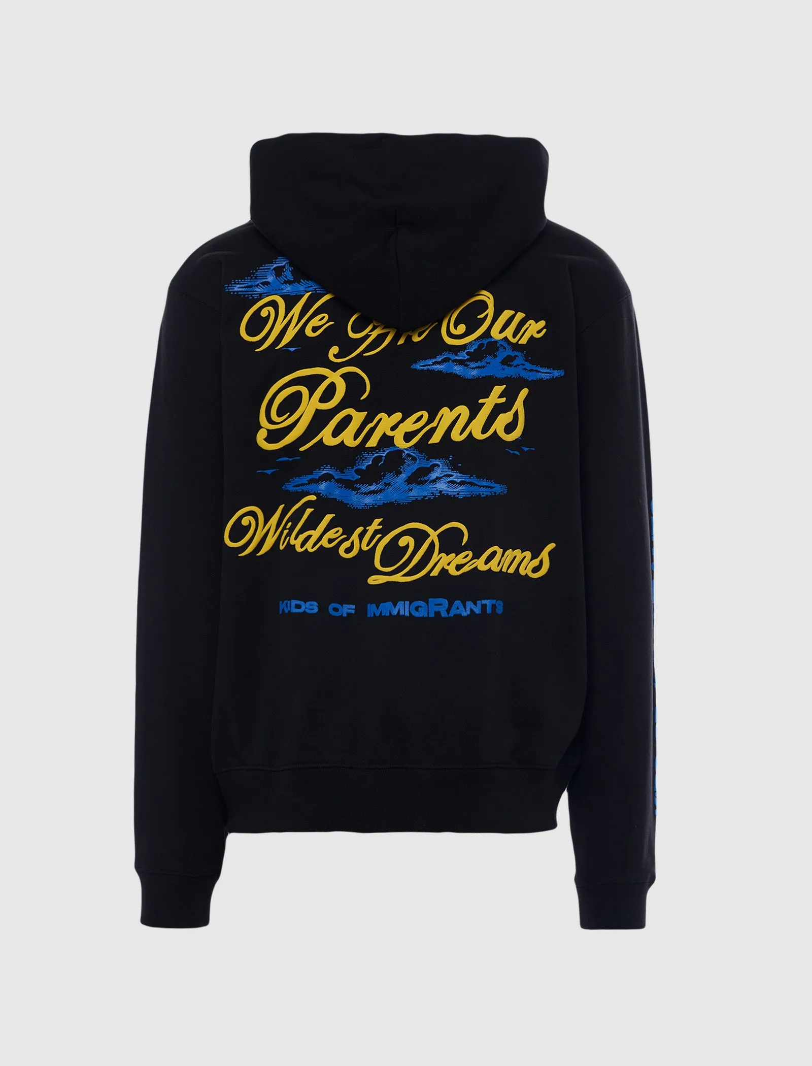 WILDEST DREAMS HOODIE